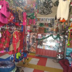 Negocio Veterinaria Centro