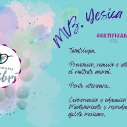 Negocio Veterinaria "colibrí"