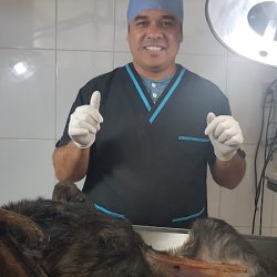 Veterinaria Doc. David Cerezoo