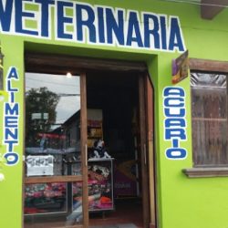 Veterinaria Doggy