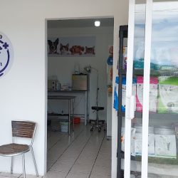 Veterinaria Dra. Yamile Slim.