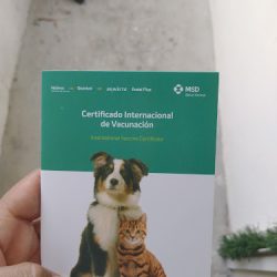 Veterinaria "el Cortijo"