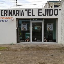 Veterinaria El Ejido