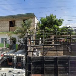 Veterinaria El Potrillo