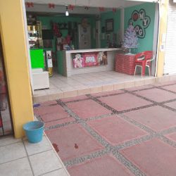 Veterinaria El Rey Del Hogar