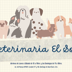 Veterinaria El Sol