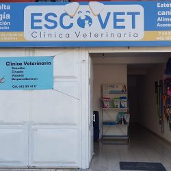 Veterinaria Escovet