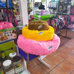 Negocio Veterinaria Expert Vet