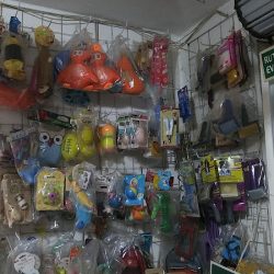 Veterinaria Gabonica