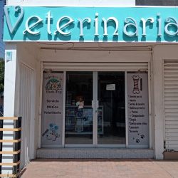 Veterinaria Ham-top