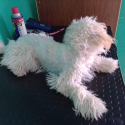 Negocio Veterinaria Hernández