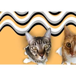 Negocio Veterinaria Hogar