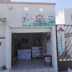 Veterinaria Kenkoinu