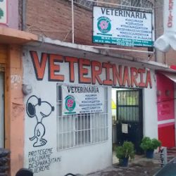 Veterinaria Knino