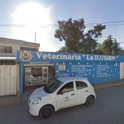 Negocio Veterinaria La Ilusión