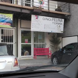 Veterinaria La Mascota Maja