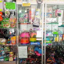 Veterinaria La Rabia