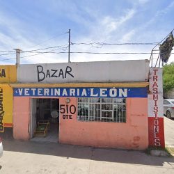 Negocio Veterinaria León