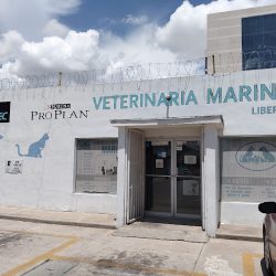 Veterinaria Marin
