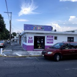 Veterinaria Mascotina