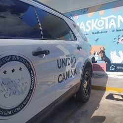 Negocio Veterinaria Maskotan Caucel