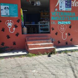 Negocio Veterinaria "maskoteando"
