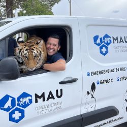 Veterinaria Mau Y Estetica Canina