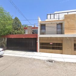 Veterinaria Míchigan