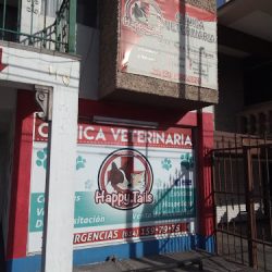 Negocio Veterinaria Moreno