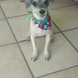 Veterinaria Mundo Azul