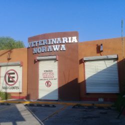 Veterinaria Norawa