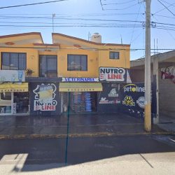 Veterinaria Nutroline