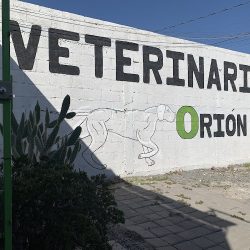 Veterinaria Orión