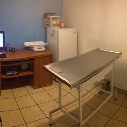 Negocio Veterinaria Pet´s Care