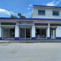 Negocio Veterinaria Petsville