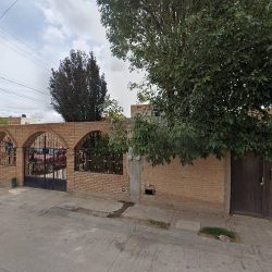 Veterinaria Pulguitas