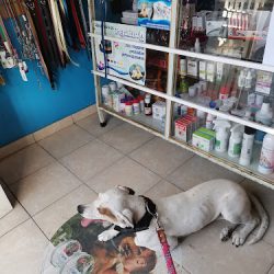 Negocio Veterinaria QuirÓn