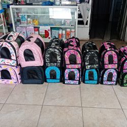 Veterinaria "reino Animal"