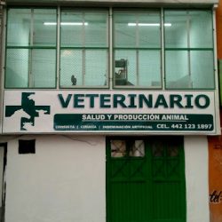 Veterinaria Salud & Producción