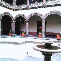 Veterinaria "san Bernardino"