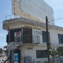 Negocio Veterinaria "san Francisco"