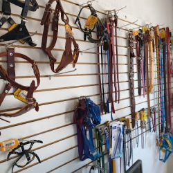 Veterinaria San Miguel