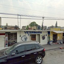 Veterinaria Santa Clara