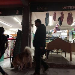 Veterinaria Satelite