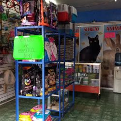 Negocio Veterinaria Secreto Animal