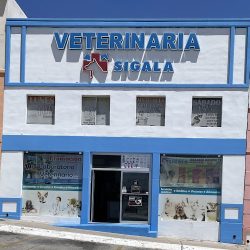 Veterinaria Sigala