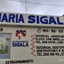 Veterinaria Sigala
