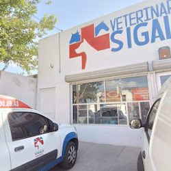 Negocio Veterinaria Sigala