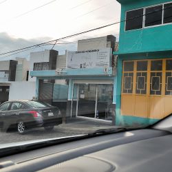 Veterinaria Star Pet's