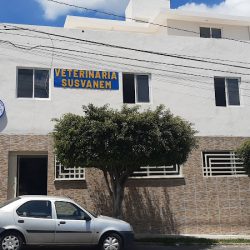 Negocio Veterinaria Susvanem